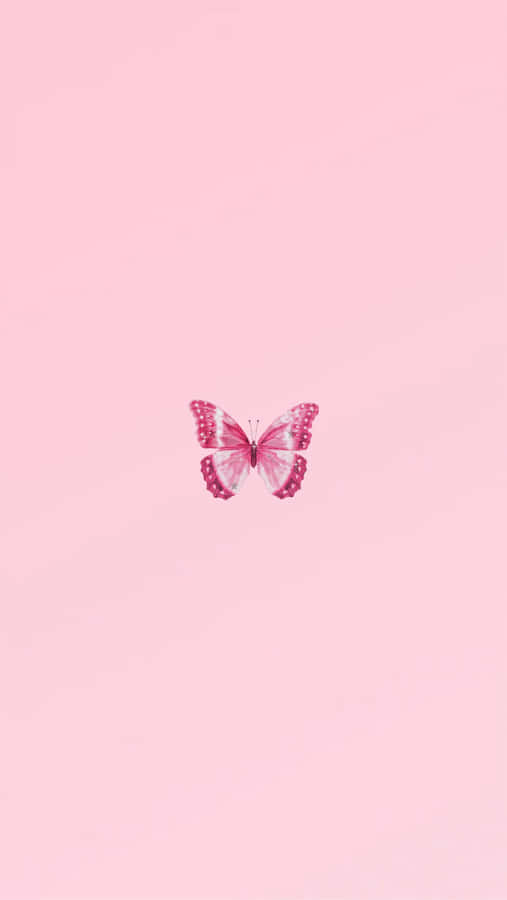 A Pink Butterfly On A Pink Background Wallpaper