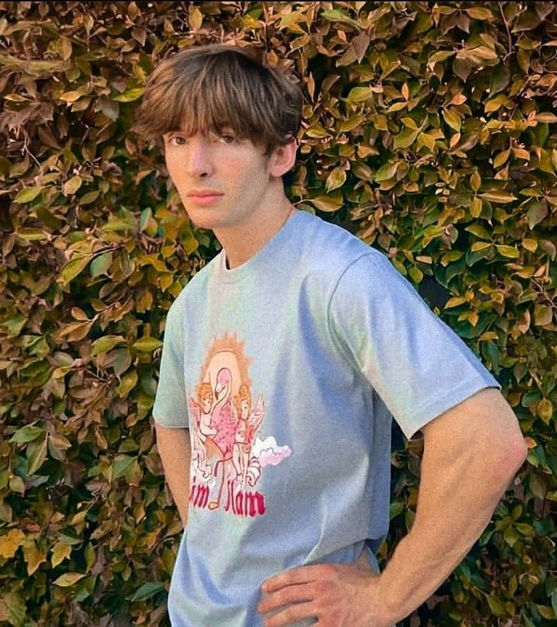 A Pink Flamingo Strolls Along A Lake In Sunny Albert, Saskatchewan. Wallpaper