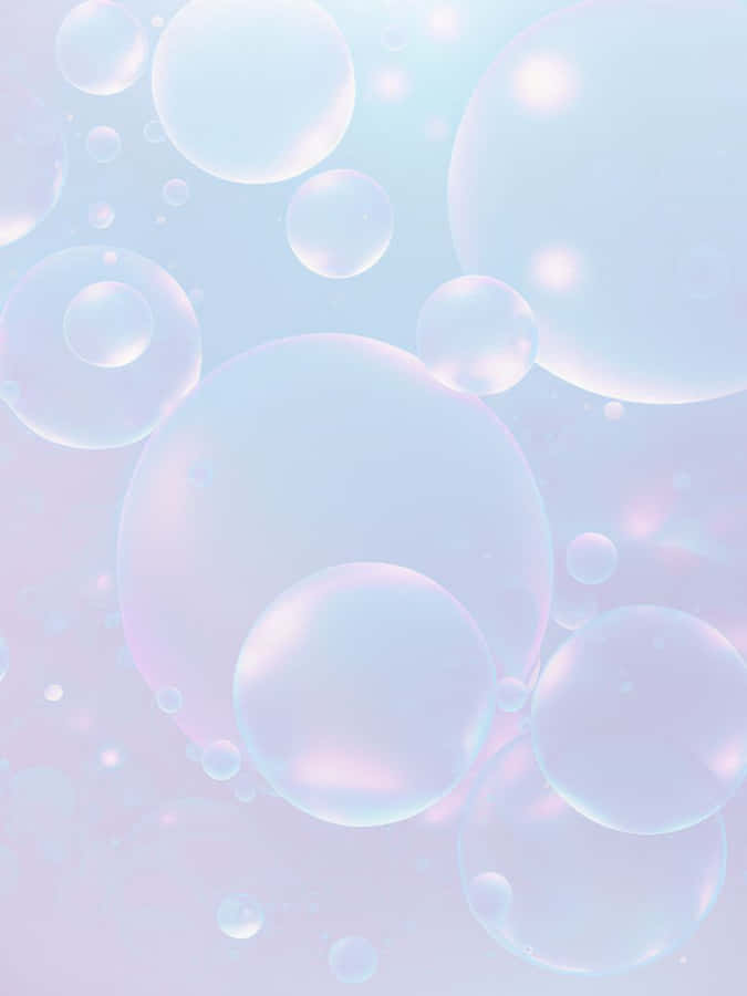 A Portrait Of A Vibrant Dahlia Flower Wallpaper