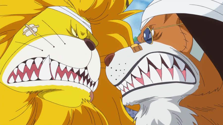 A Proud And Big Cat Wallpaper