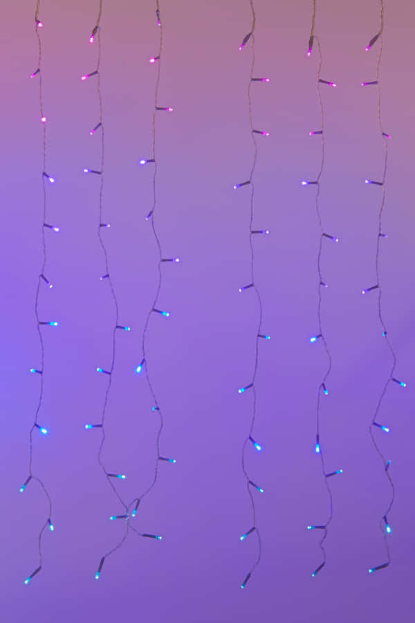 A Purple And Blue Light String Hanging From A Purple Wall Wallpaper
