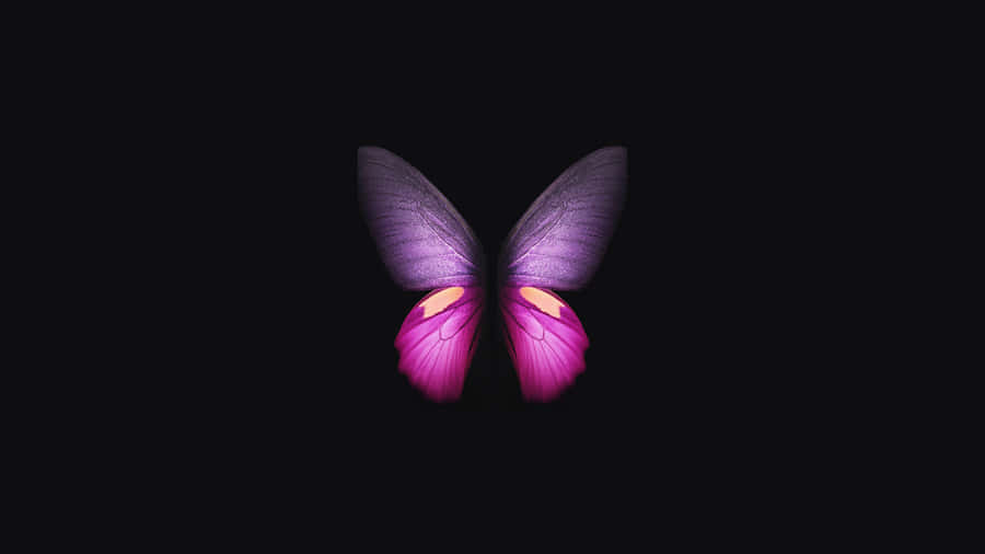 A Purple Butterfly Is Shown On A Black Background Wallpaper