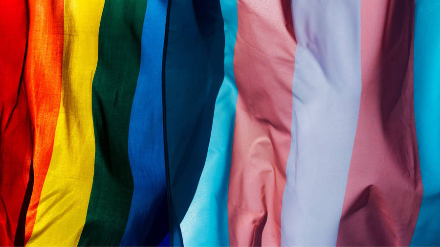 A Rainbow Colored Flag Wallpaper
