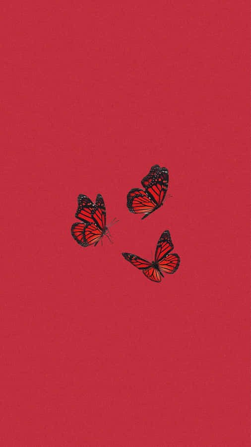 A Red Background With Three Butterflies On It Wallpaper