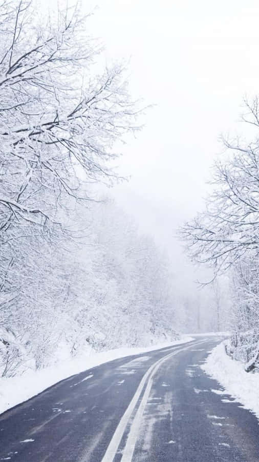 A Road Covered In Snow With Trees In The Background Wallpaper