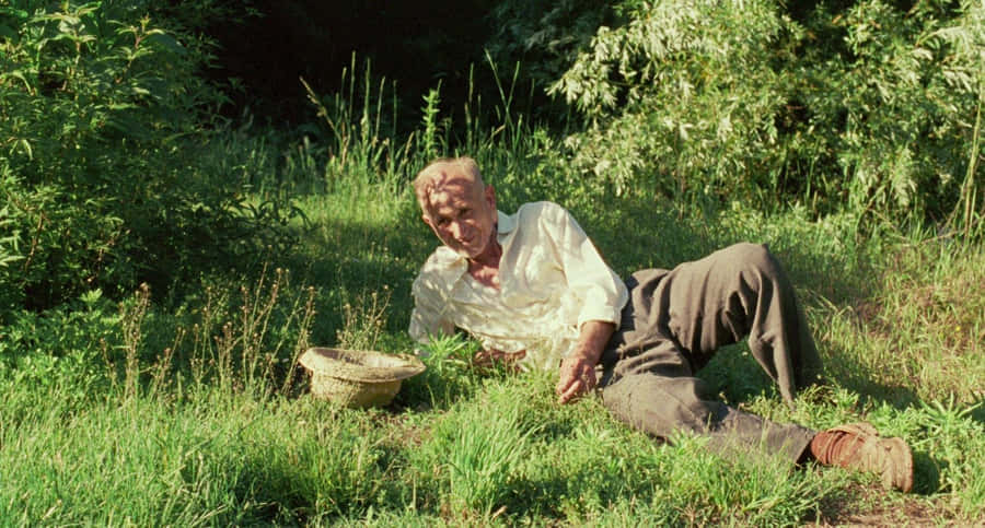 A Romantic Scene From Call Me By Your Name Featuring Timothée Chalamet And Armie Hammer Wallpaper