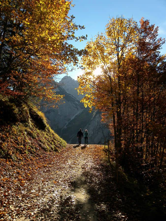 A Scenic Fall Hike Through A Colorful Forest Trail Wallpaper