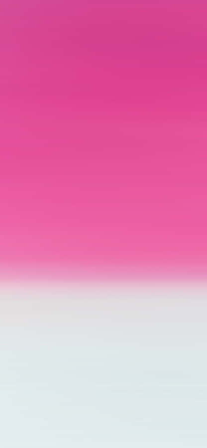 A Sea Of Pink And White For A Memorable Photo Wallpaper