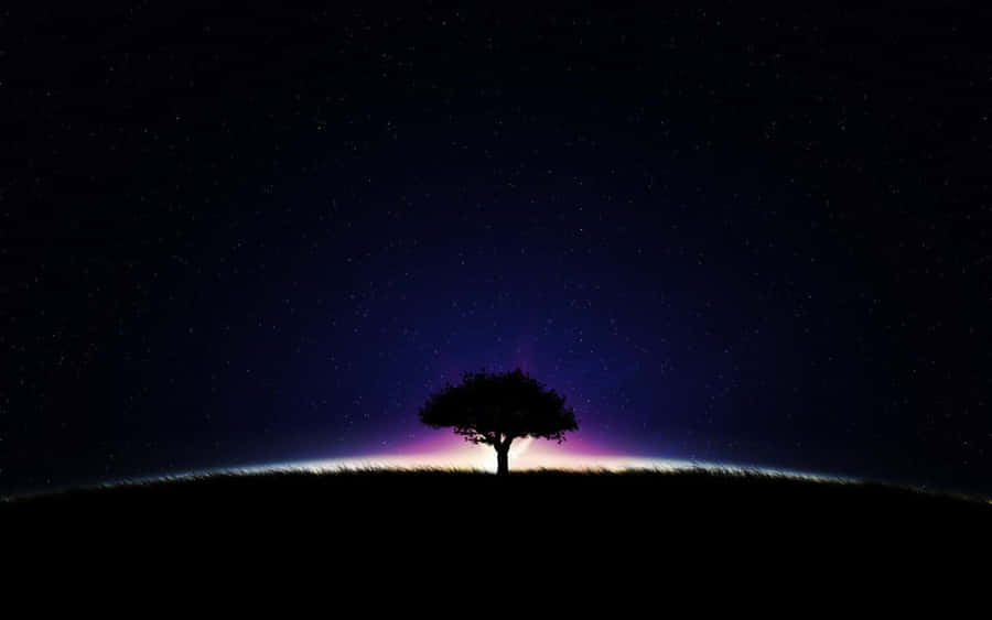 A Serene And Chilly Night Under The Stars Wallpaper