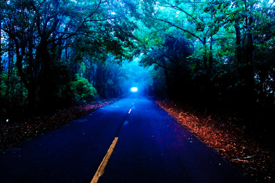 A Serene Autumn Evening By The Lake Wallpaper