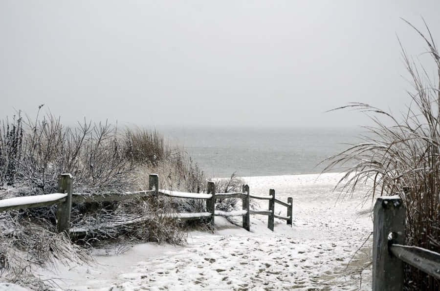 A Serene, Snowy Beach Landscape During Winter. Wallpaper