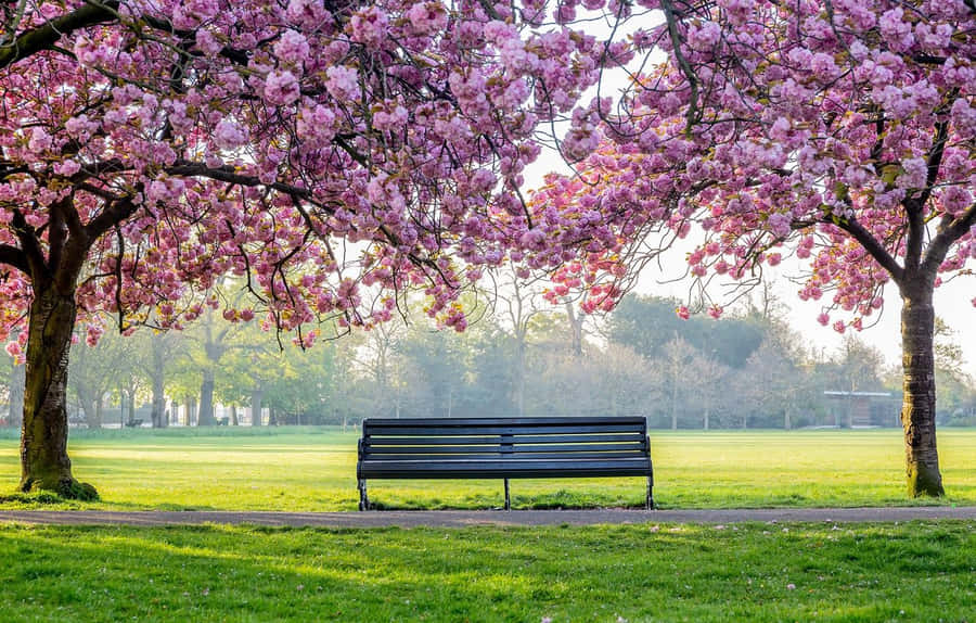 A Serene Spring Landscape In Spring Park Featuring A Lush Green Field, Vibrant Flowers And A Picturesque Bridge Over A Tranquil Pond. Wallpaper