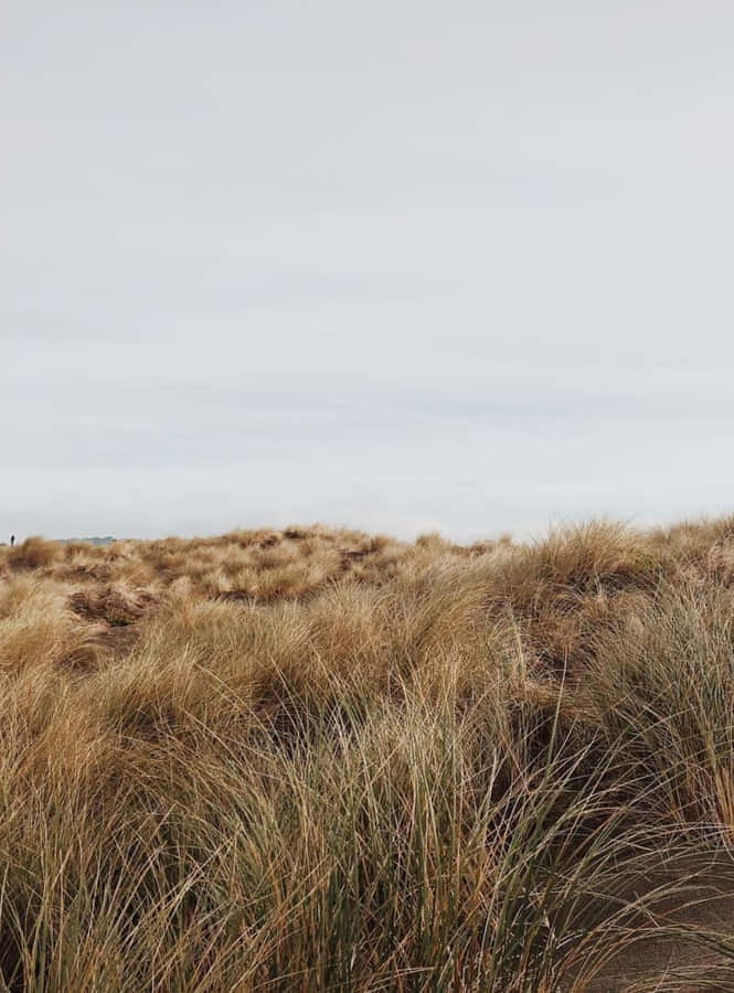 A Serene Winter Beach Embracing The Icy Blue Ocean Wallpaper