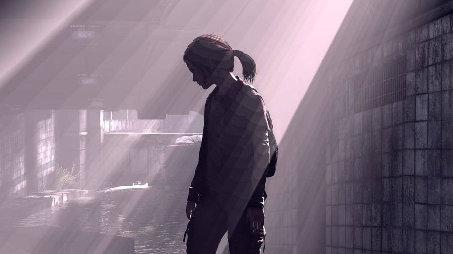 A Silhouette Of Ellie, From The Video Game The Last Of Us. Wallpaper