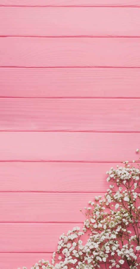 A Simple Yet Stylish Rose Pink Wallpaper