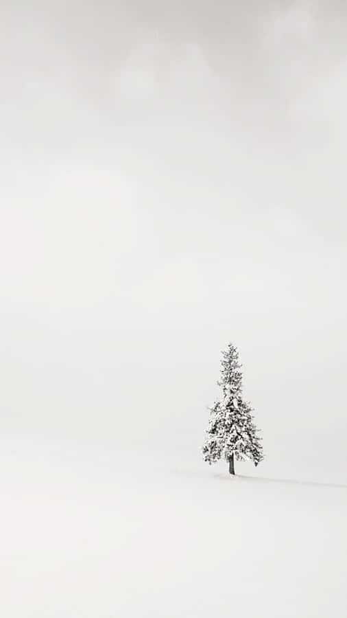 A Single Tree In A Snow Covered Field Wallpaper