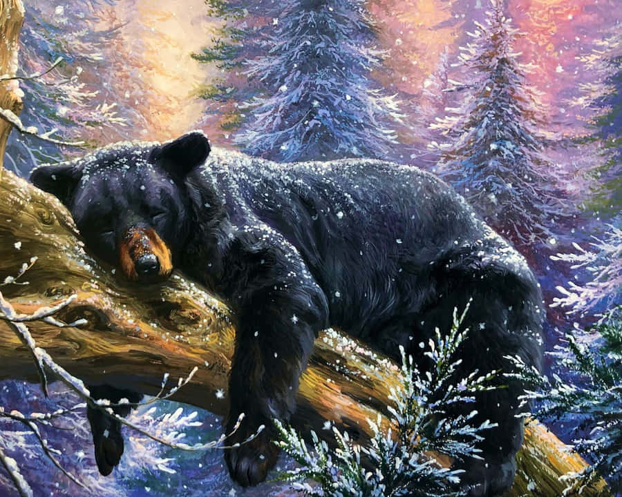 A Slumbering Bear In Its Cave During Hibernation Wallpaper