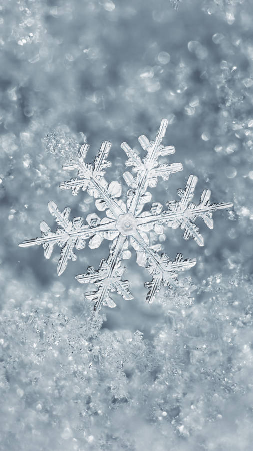 A Snowflake Is Floating In The Water Wallpaper