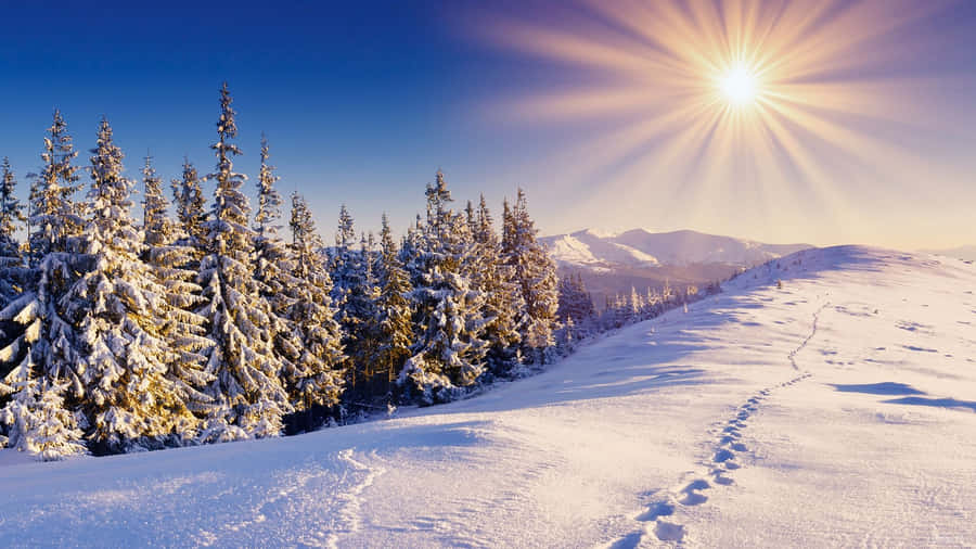 A Stunning View Of A Snow-covered Landscape Wallpaper