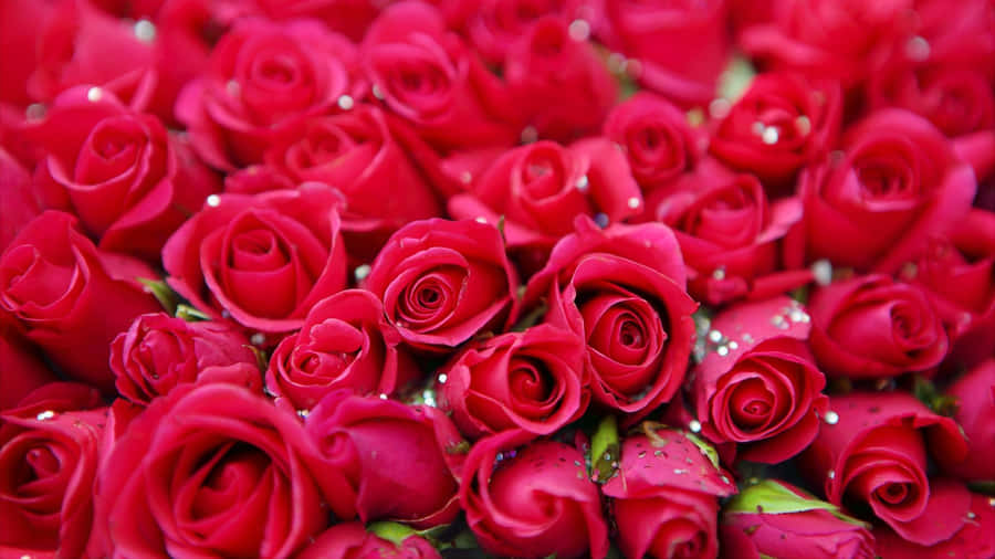 A Stylish Rose Gold Laptop For Your Desktop Wallpaper