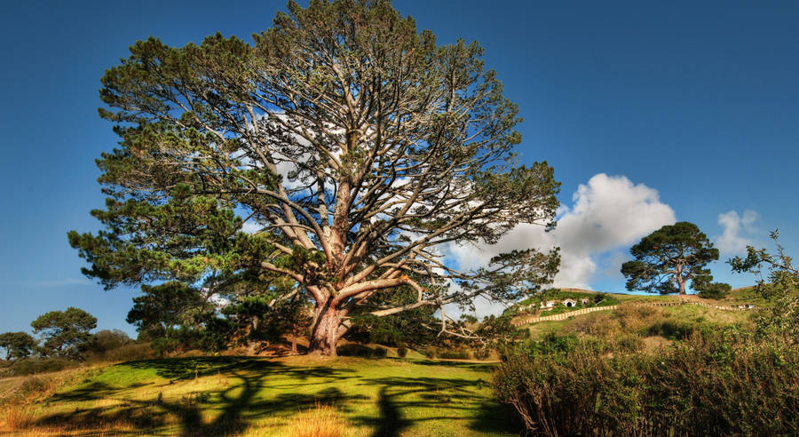 “a Summer Oasis In The Savannah” Wallpaper