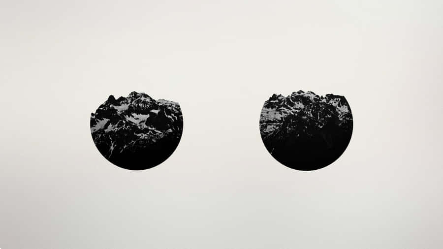 A Sunbeam Breaking Through A Canopy Of Black And White Trees Wallpaper