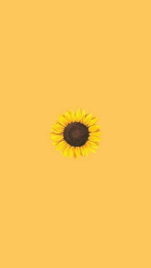 A Sunflower On A Yellow Background Wallpaper