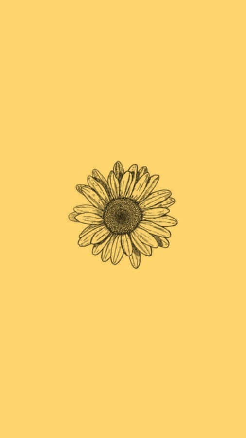 A Sunflower On A Yellow Background Wallpaper