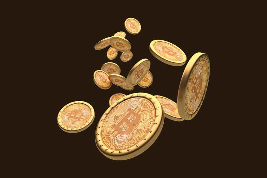 A Sunlit Forest Basking In The Morning Glow Wallpaper