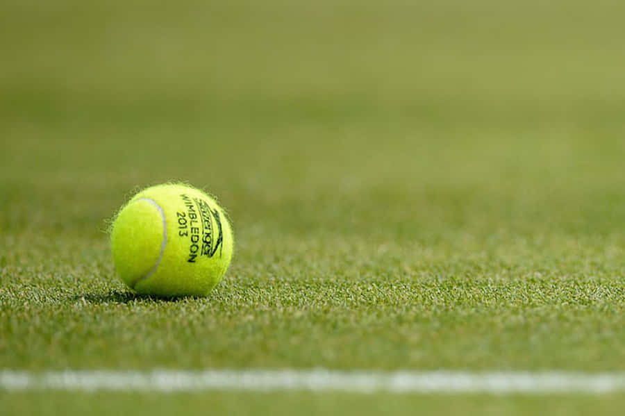 A Tennis Ball On The Grass Wallpaper