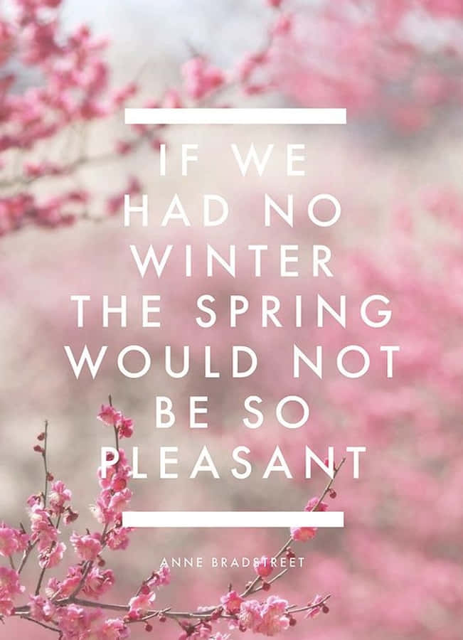 A Vibrant Display Of Blooming Spring Flowers In The Midst Of A Lush Garden. Wallpaper