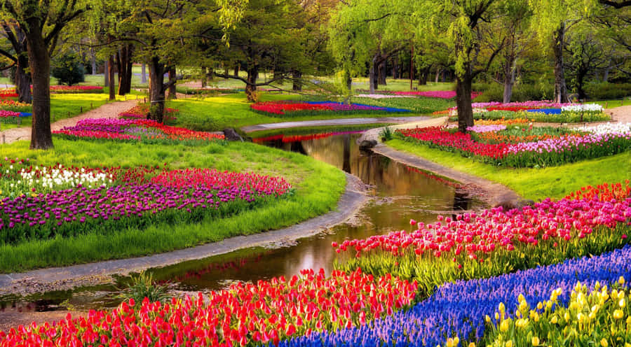 A Vibrant Spring Day Wallpaper