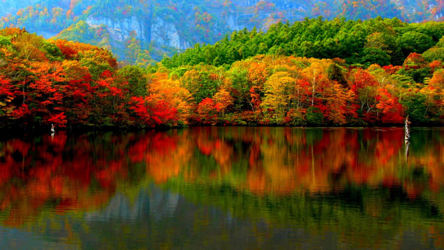 A View Of Stunning Autumnal Landscape Wallpaper