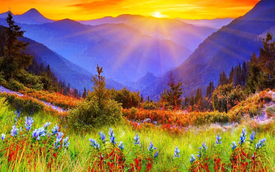 A Warm Spring Sunrise Over A Lush Green Meadow Wallpaper