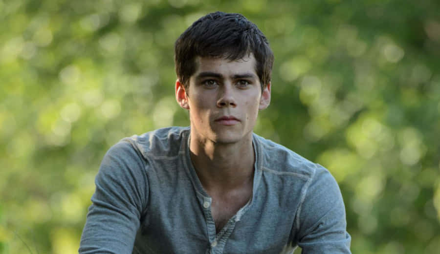 A Young Man Sitting On A Grassy Field Wallpaper