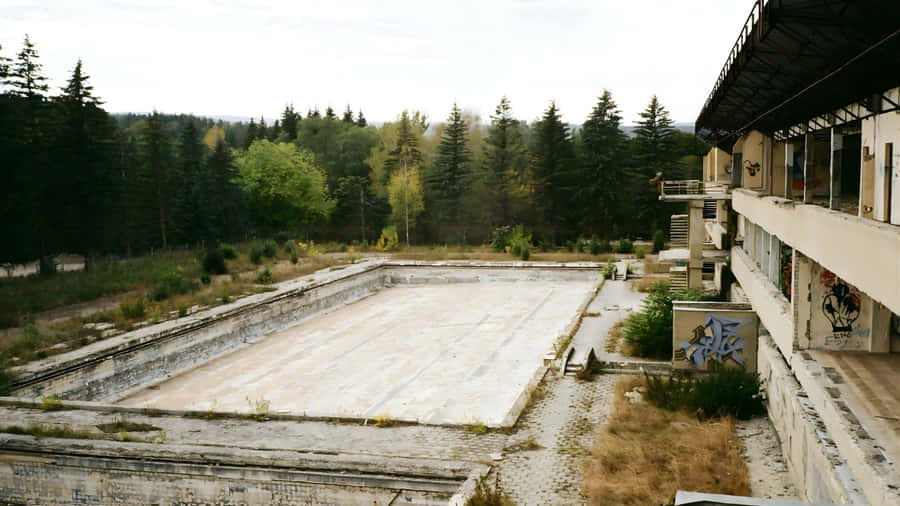 Abandoned Outdoor Pool Scene Wallpaper