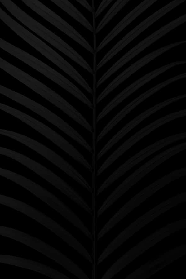 Abstract Black Ribbed Texture Wallpaper