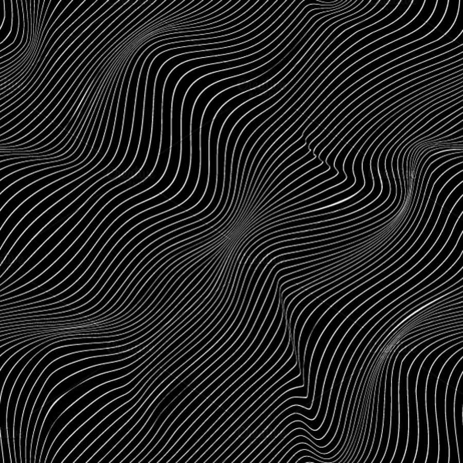 Abstract Black White Contour Lines Wallpaper