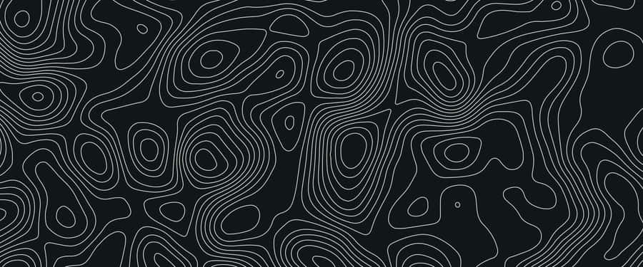 Abstract Blackand White Topographic Lines Wallpaper