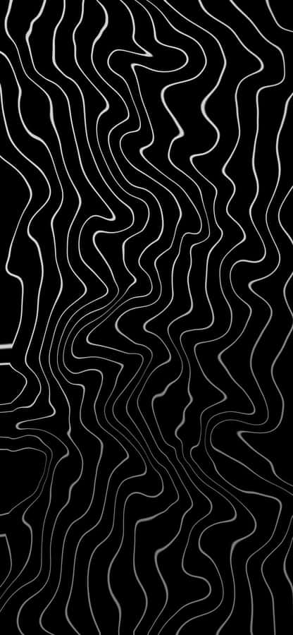 Abstract Blackand White Topography Wallpaper