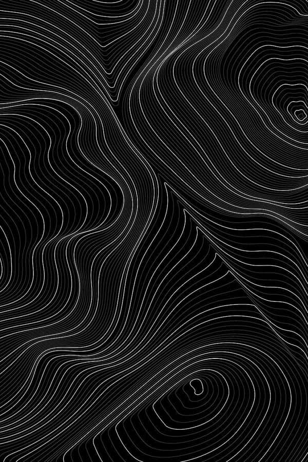 Abstract Blackand White Topography Wallpaper