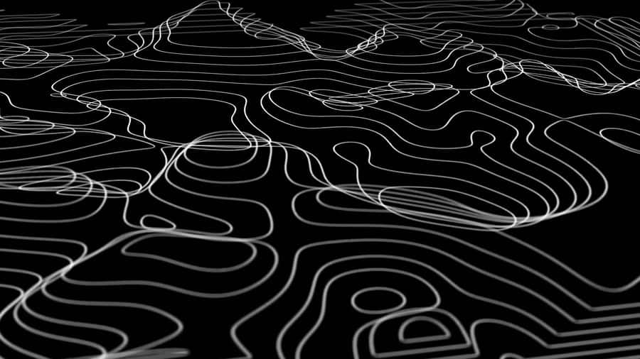 Abstract Blackand White Topography Wallpaper