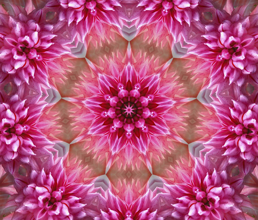 Abstract Pink Color Floral Pattern Wallpaper
