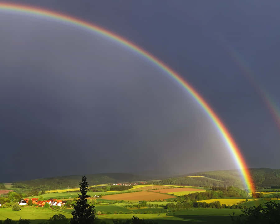 Abstract Red And Orange Shapes Wallpaper
