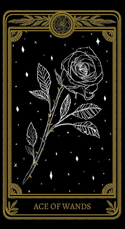 Ace Of Wands Tarot Wallpaper