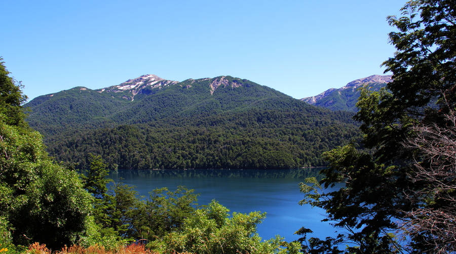 Actor Martin Freeman Talking To The Press Wallpaper