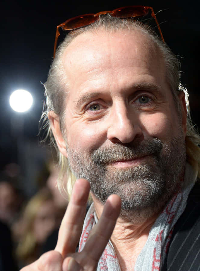 Actor Peter Stormare Wallpaper