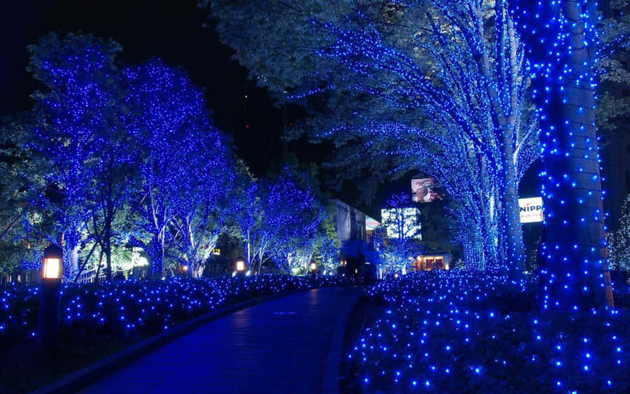 Add A Bold Statement To Your Room With The Intense Sapphire Blue Wallpaper Wallpaper