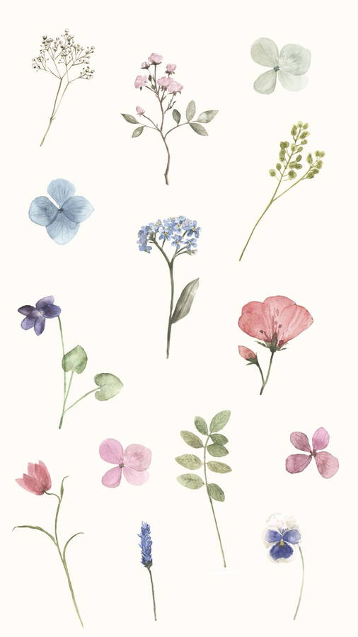 Add A Pop Of Color And Style To Your Spring Look Wallpaper
