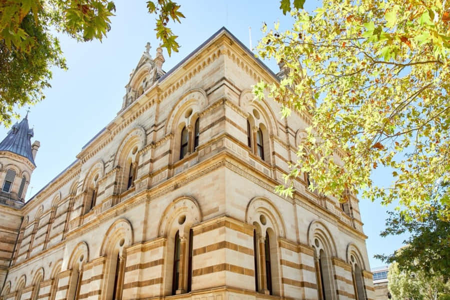 Adelaide State Library Exterior Wallpaper